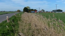 Photo 6x4 bridge - photo,