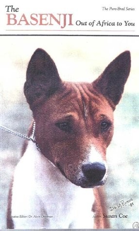 The basenji out - the, africa