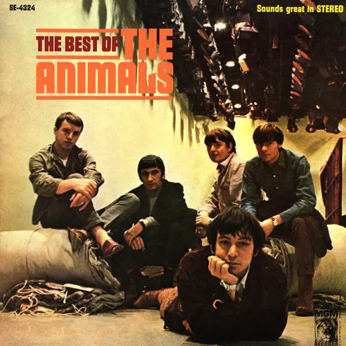 The animals best - animals,