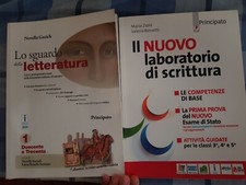 LO SGUARDO DELLA LETTERATURA 1
