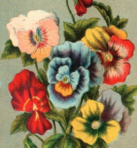 Carta commerciale vittoriana