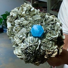 Esemplare di cristalli acquamarina terminata e cassiterite 6,72 libbre grado superiore museale