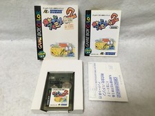 Pocket Family 2 Nintendo Game