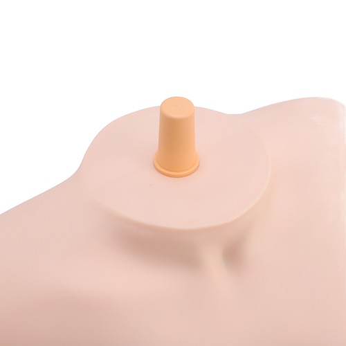 Modello spalla femminile per - spalla,