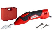 RASCHIETTO ELETTRICO