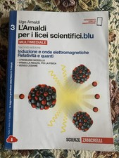 L'amaldi per i licei