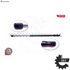 MOLLA A GAS VANO DI CARICO