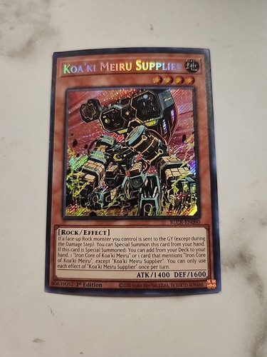 Koa meiru fornitore - koa'ki,