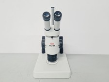 Leica M8 WILD Microscopio