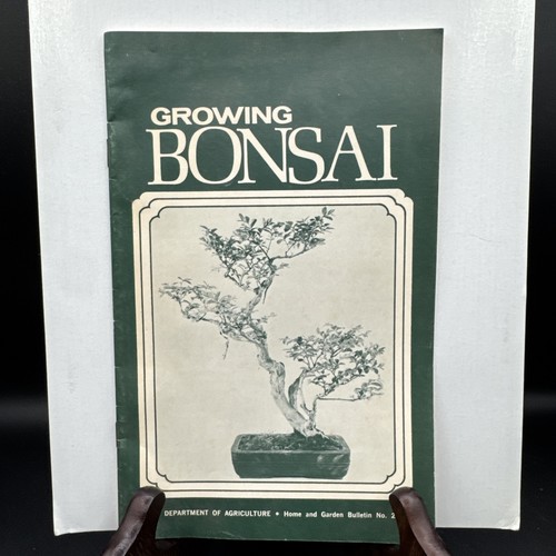 Growing bonsai s - growing,