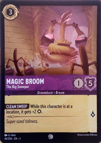 204 magic broom the - 46/204,