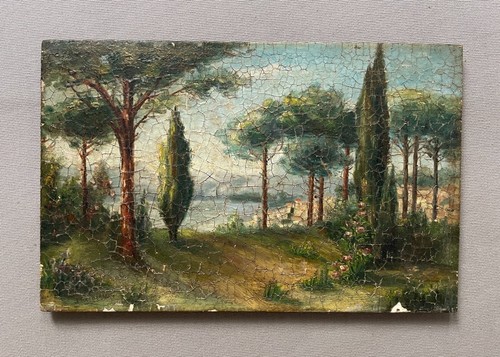 Parco sulla costa