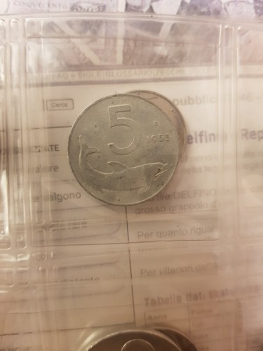 Moneta lire del 1955 delfino - 5,
