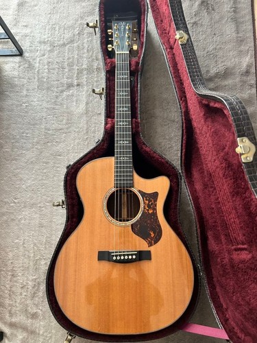 Rara chitarra elettrica