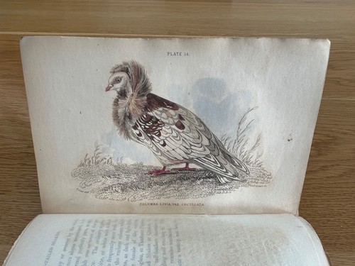 1835 jardine the naturalist - 1835, naturalist's