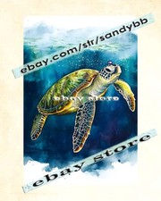 Tartaruga marina insegna