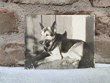 Fotografia Originale In Bianco