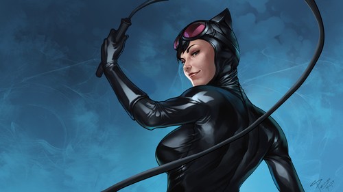 Comics catwoman gatto - dc,