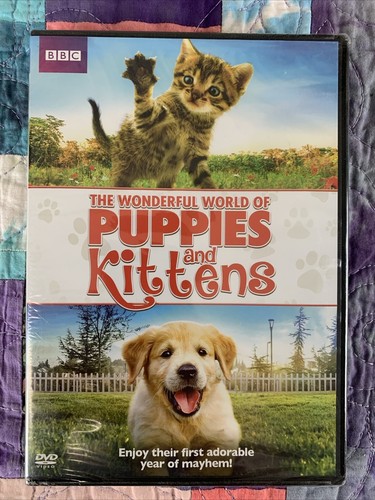 The wonderful world - wonderful, puppies