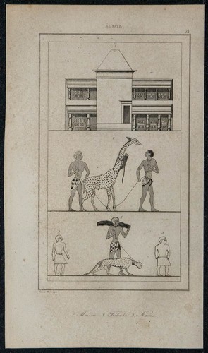 1839 casa tributs nani - nani,