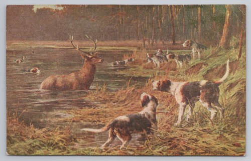 Stag bay hunting - stag, pond