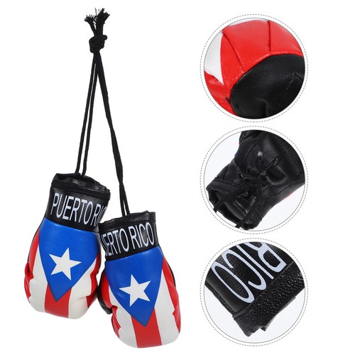 Paio guantoni da boxe - ,