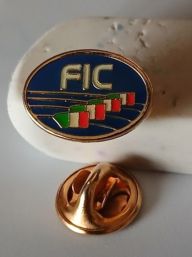 Distintivo pin fic - pin,
