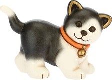 Thun - Gatto Europeo