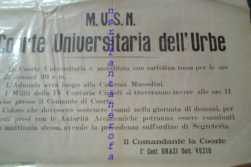 Milizia volontaria sicurezza - volontaria,