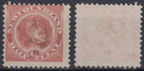 Terranova 1887 mi 35a - 1887, mi.35a