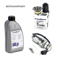 BorgWarner Pompa Di Precarico