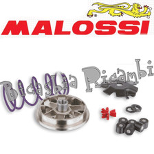 6011 - VARIATORE MALOSSI MHR