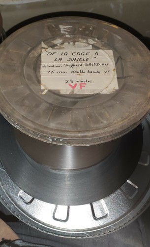 Film cage à la - 16,
