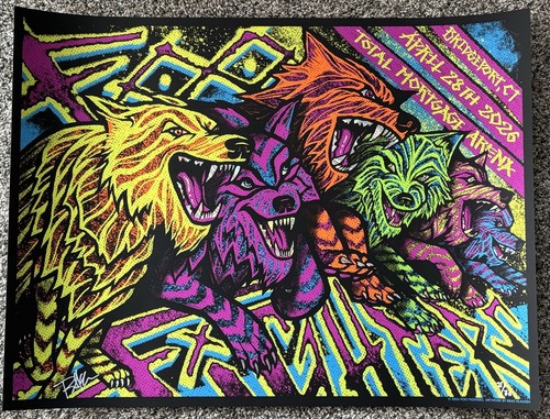 Poster foo fighters foil - foo, ap