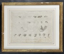 Eyes, Ears, Noses, Mouths