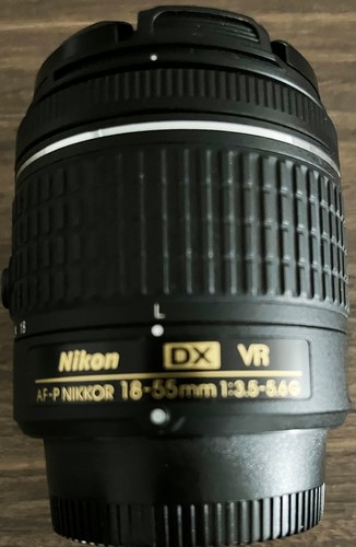 Nikon nikkor 18 - af-p, dx