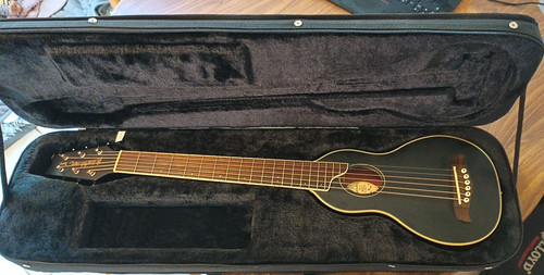 Washburn rover chitarra - rover,