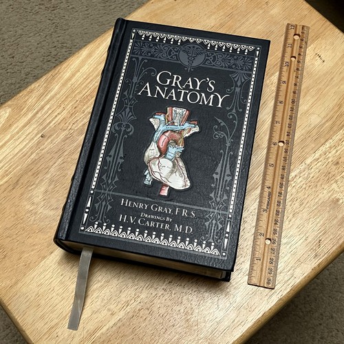 Gray anatomy deluxe edition - gray's,