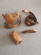 Set pettorina, guinzaglio, collare e porta-sacchetti in vera pelle, fatto a mano