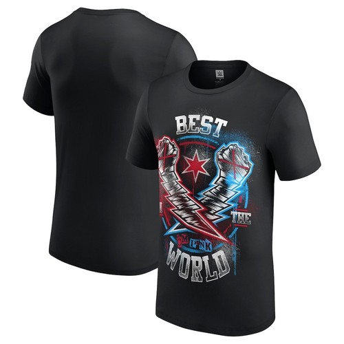 Wwe punk best in - -,