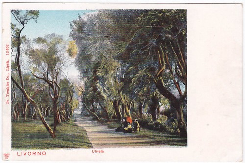 Livorno uliveta 54849 - livorno,