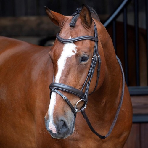 Shires velociti rapida - shires,