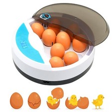 Incubatrice per uova - incubatrice, 9
