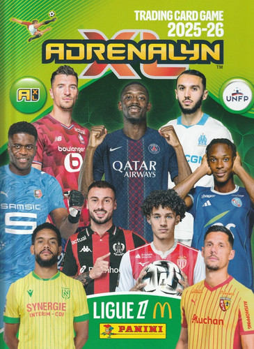 Losc lille panini ligue - ligue, 1