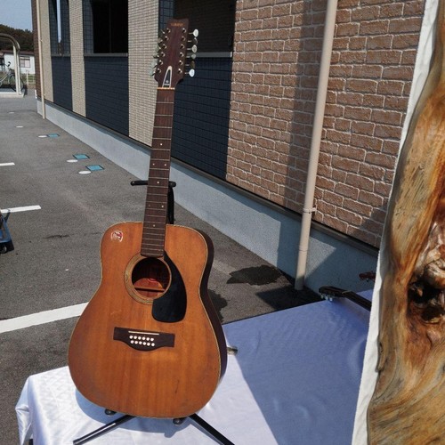 Chitarra corde rara - 12,