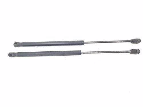 8731g3 pistoncini portellone - 8731g3,