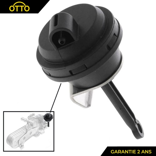 Variazione egr polmone 9 - egr,