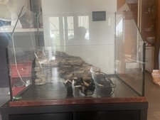 Grande vasca / Terrario In vetro  per Tartarughe d Acqua. Da interno o esterno.