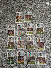14 FIGURINE CALCIATORI