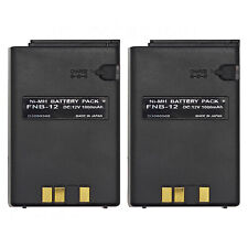 2 pezzi batteria NiMh 12 V